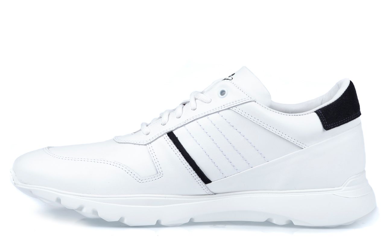 Dutch Dandies x Greve Jackson Sneakers